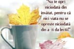 Thumbnail for the post titled: 5 Octombrie Ziua Internațională a Educației