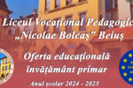 Thumbnail for the post titled: Ofertă educațională învățământ primar