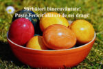Thumbnail for the post titled: Sărbători binecuvântate!